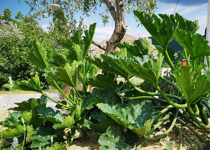 Olivia Appartement *